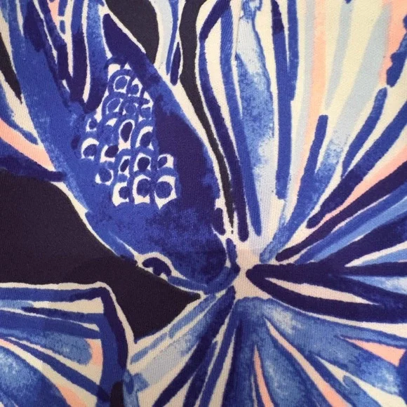 Lilly Pulitzer Blue and White Shorts - Picture 5 of 7